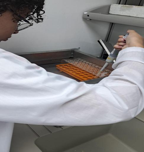 Persona con bata de laboratorio blanca y gafas ópticas realizando pipeteo en gradilla plástica naranja situada en bandeja de acero inoxidable